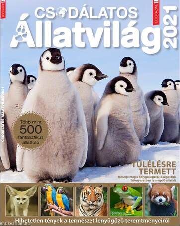 Füles Bookazine - Csodálatos Állatvilág - 2021