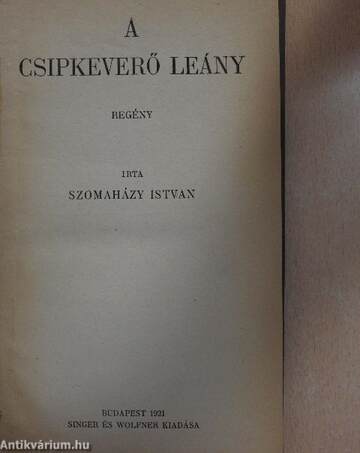 A csipkeverő leány