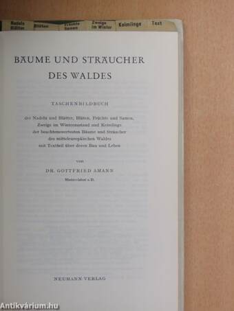 Bäume und Sträucher des Waldes