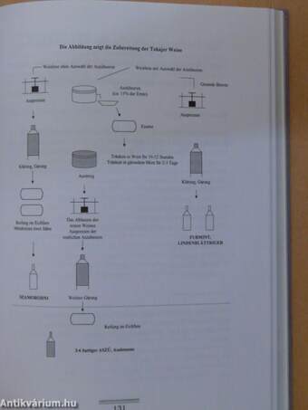 Das Harmonisieren von ungarischen Weinen und Speisen