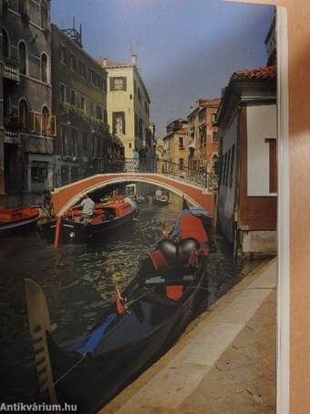 Art and History of Venice