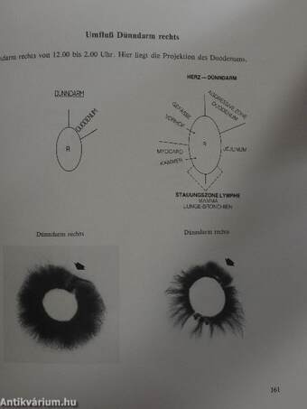 Energetische Terminalpunkt-Diagnose