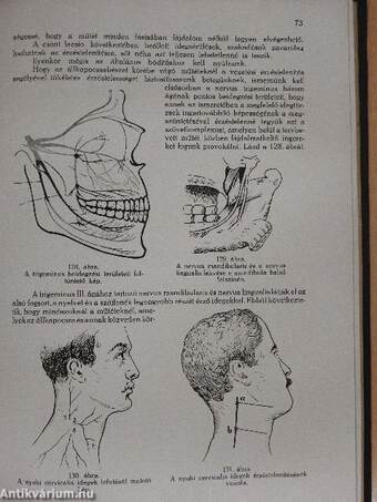 Elektrokardiographia/A szembetegségek physicotherapiája/Az állkapocssérülések gyógyítása/Élelmezési táblázatok