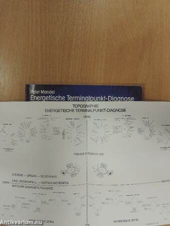 Energetische Terminalpunkt-Diagnose