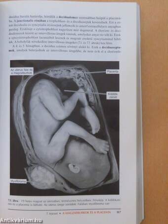 Orvosi embryologia