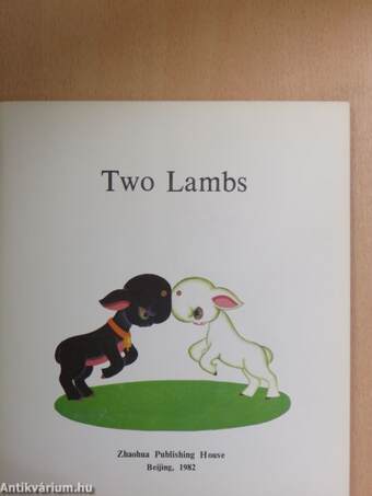 Two Lambs