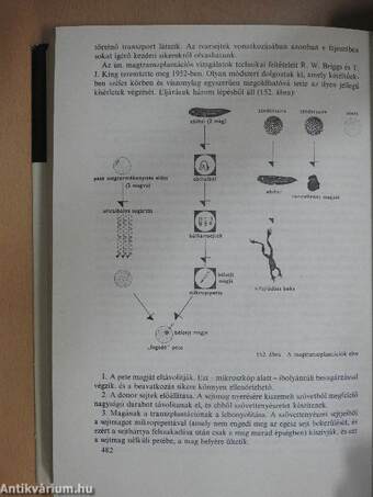 Az emberi öröklődés