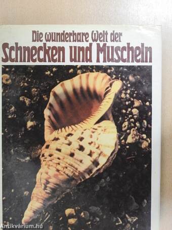 Die wunderbare Welt der Schnecken und Muscheln