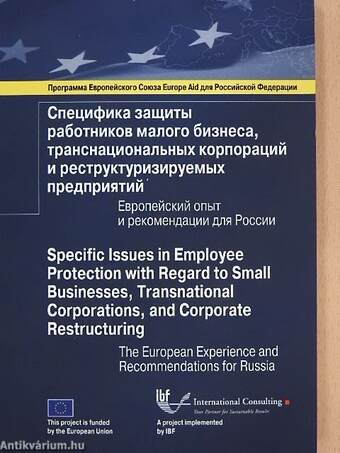 Specific Issues in Employee Protection with Regard to Small Businesses, Transnational Corporations, and Corporate Restructuring