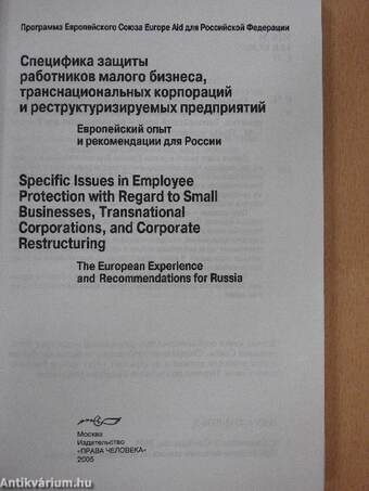 Specific Issues in Employee Protection with Regard to Small Businesses, Transnational Corporations, and Corporate Restructuring