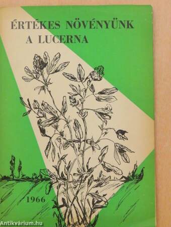 Értékes növényünk a lucerna