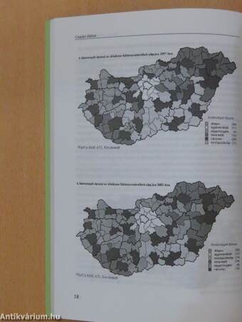 Tér - Társadalom - Kultúra