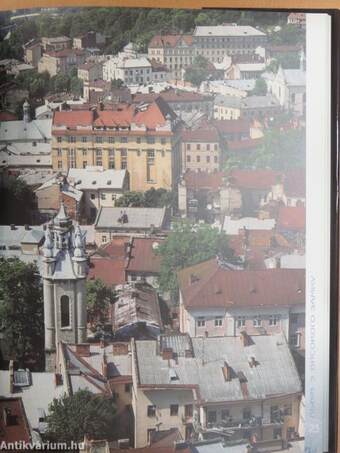 Lviv from the High Castle/Lwów z wysokiego zamku