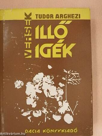 Illő igék