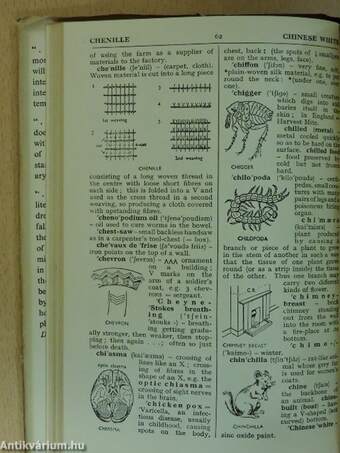 An Explaining and Pronouncing Dictionary of Scientific and Technical Words