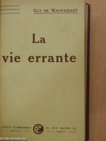 La vie errante