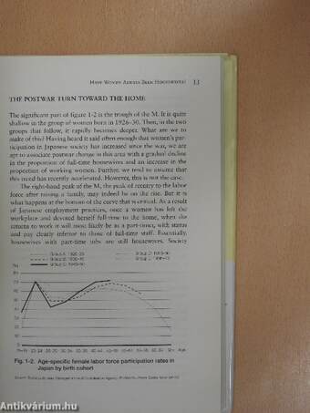 The Japanese Family System in Transition