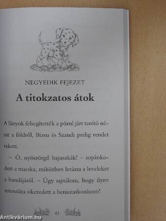 Szandi, az iskola hőse