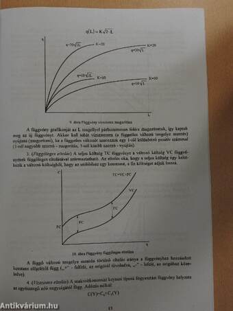 Hogyan segíti a matematika a közgazdaságtan megértését?