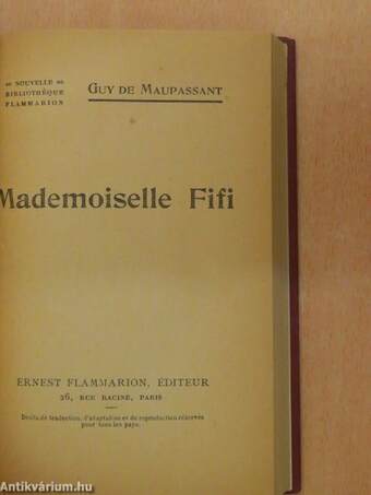 Mademoiselle Fifi