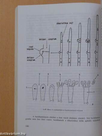 Fejezetek a mikológiából