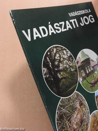 Vadászati jog