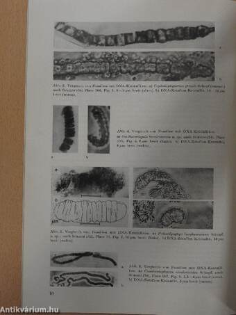 Biologische Rundschau