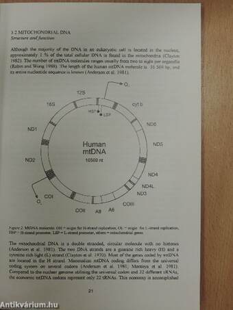 Mitochondrial and Y chromosomal variation in the finno-ugric-speaking peoples