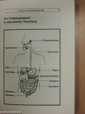 Der kürzeste Weg zur Gesundheit