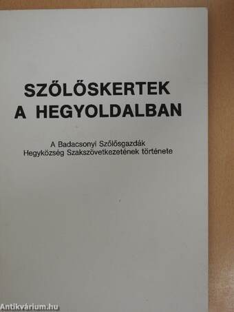 Szőlőskertek a hegyoldalban