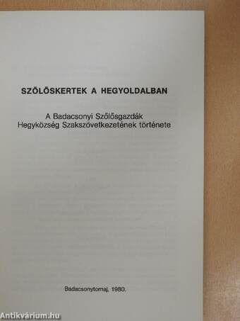 Szőlőskertek a hegyoldalban