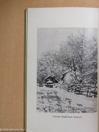 Kézikönyv J. Hauff & Co. G. m. b. H. Feuerbach Württemberg fotocikkeinek használatához