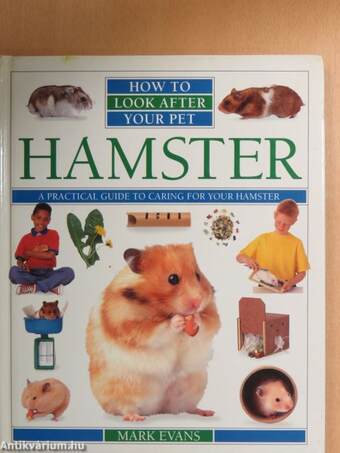 Hamster