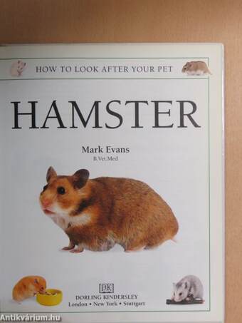 Hamster