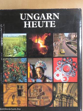 Ungarn heute