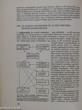 A biofizika alapjai