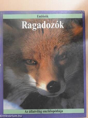 Ragadozók