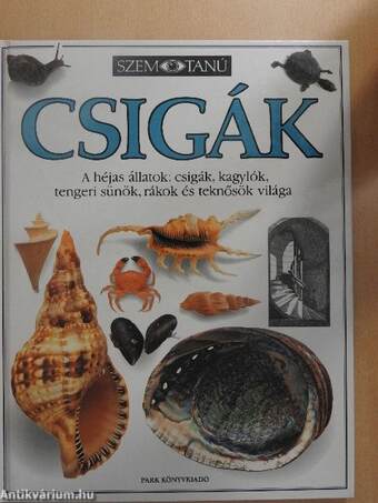 Csigák