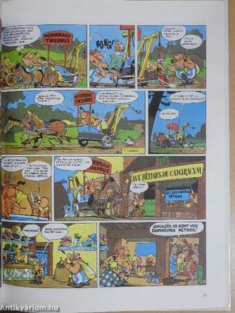 Le tour de Gaule d'Astérix