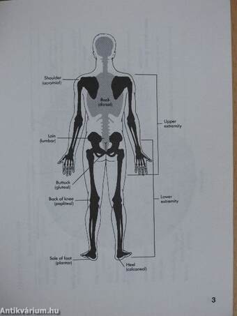 Quick reference to anatomy and physiology