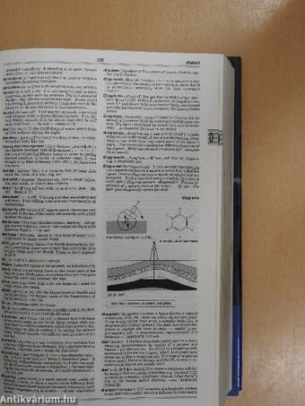 Longman Dictionary of English Language and Culture