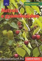 Metszés a gyümölcsösben