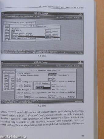 Internet és Intranet IntraNetware hálózaton