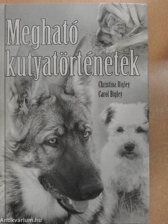 Megható kutyatörténetek