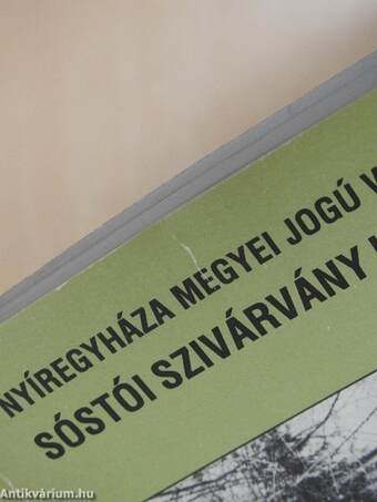 30 év a Tölgyes erdő árnyékában