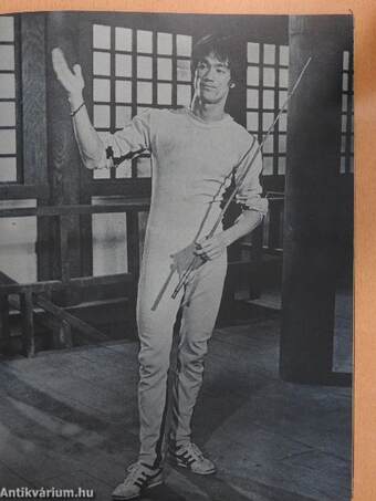 Bruce Lee's Nunchaku in Action