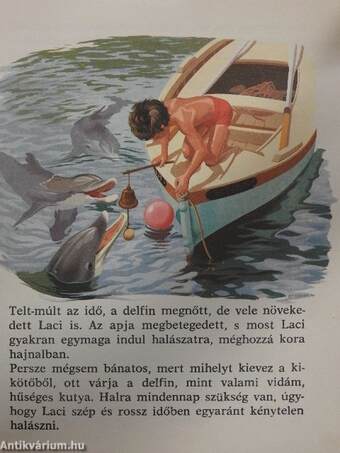 Laci és a delfin