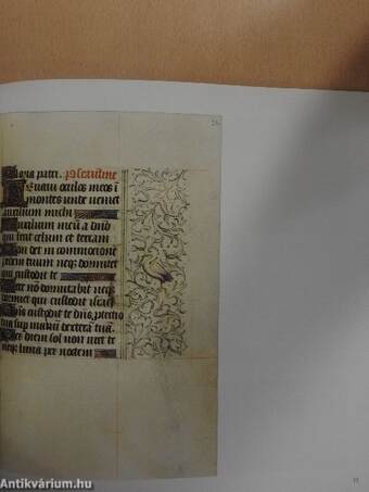 Scribes and illuminators