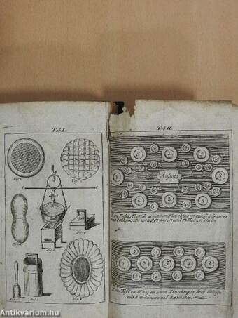 Wienerisches bewährtes Kochbuch in sechs Absätzen (gótbetűs)