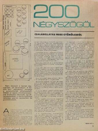 Kertbarát Magazin 1983. ősz-tél